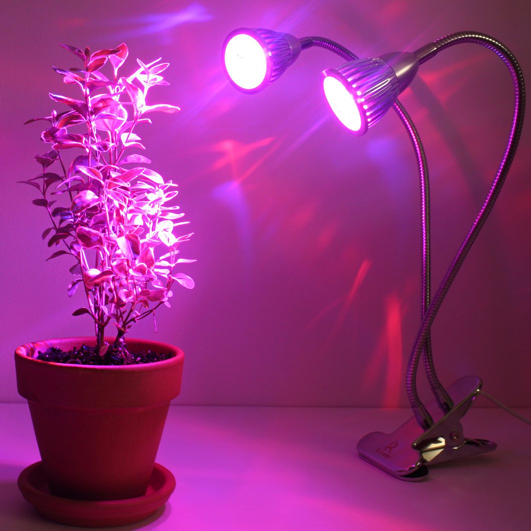 لامپ فتوسنتز رشد گیاه