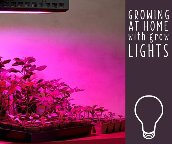 لامپ های رشد گیاهان