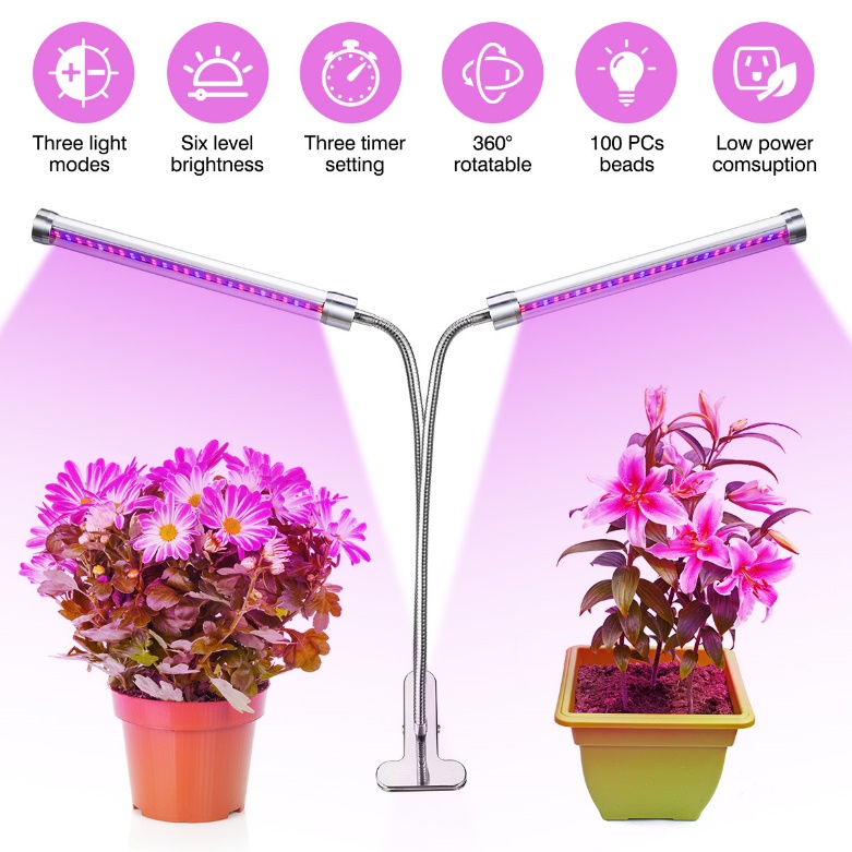 لامپ برای رشد گیاه کوچک